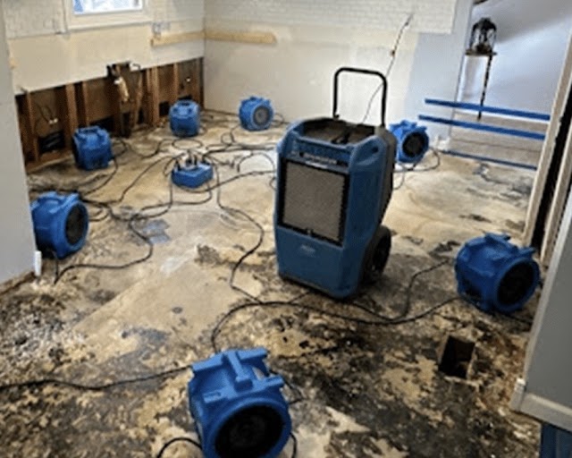 Americlean Restoration photo 2