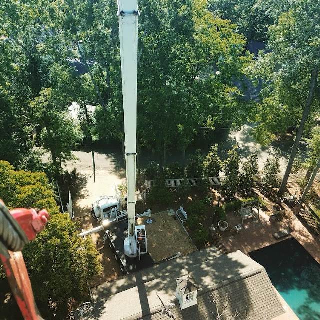 Arbor Pro Tree Service Company photo 2