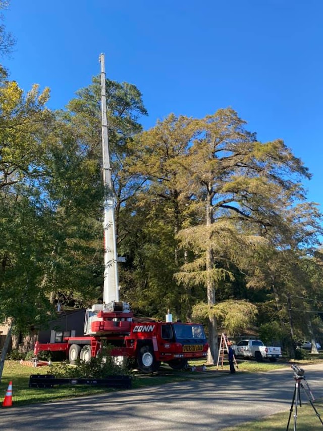 Arbor Pro Tree Service Company photo 4
