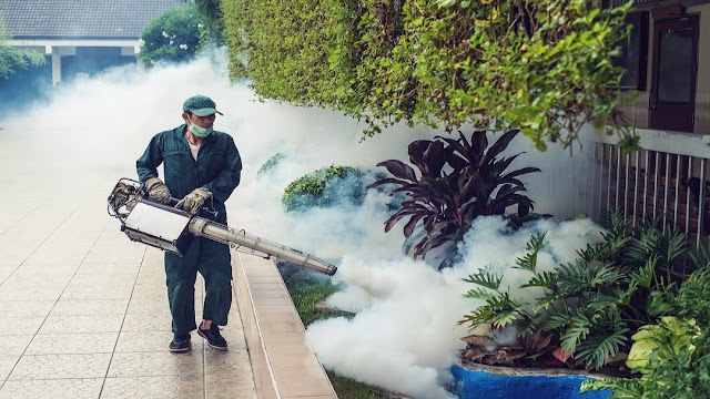 Arrow Exterminators photo 4