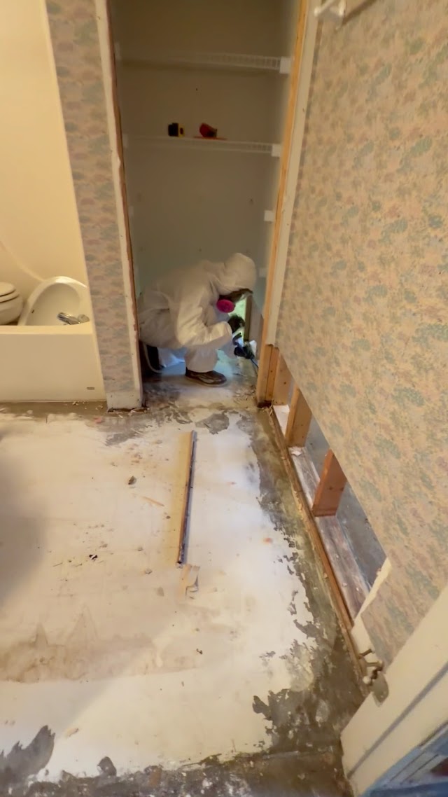 Athens Water Damage photo 3