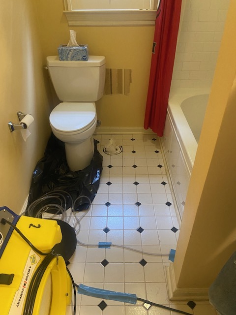 Athens Water Damage photo 4