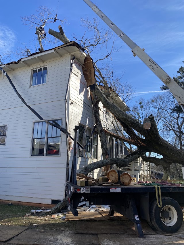 Atlanta Arborist Services, LLC photo 3