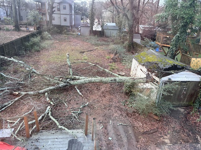 Atlanta Area Tree Service