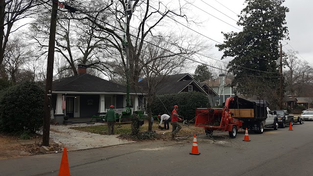 Atlanta Area Tree Service photo 2
