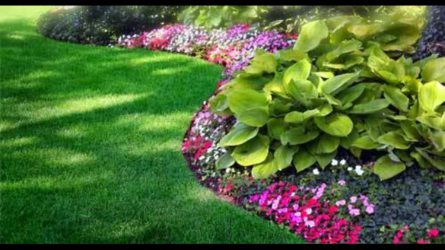 Atlanta Lawn Care Services, Inc photo 1
