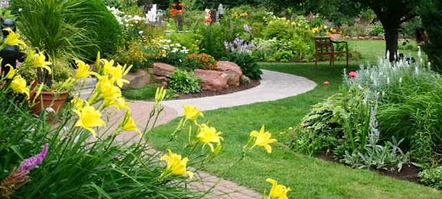 Atlanta Lawn Care Services, Inc photo 4
