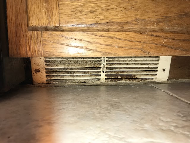 Atlanta Mold photo 3