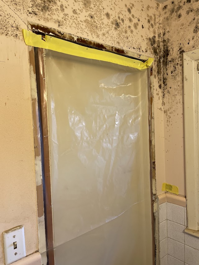Atlanta Mold photo 4