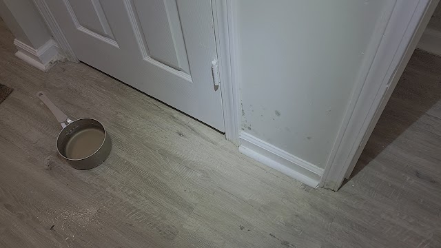 Atlanta Mold Testing Services photo 2