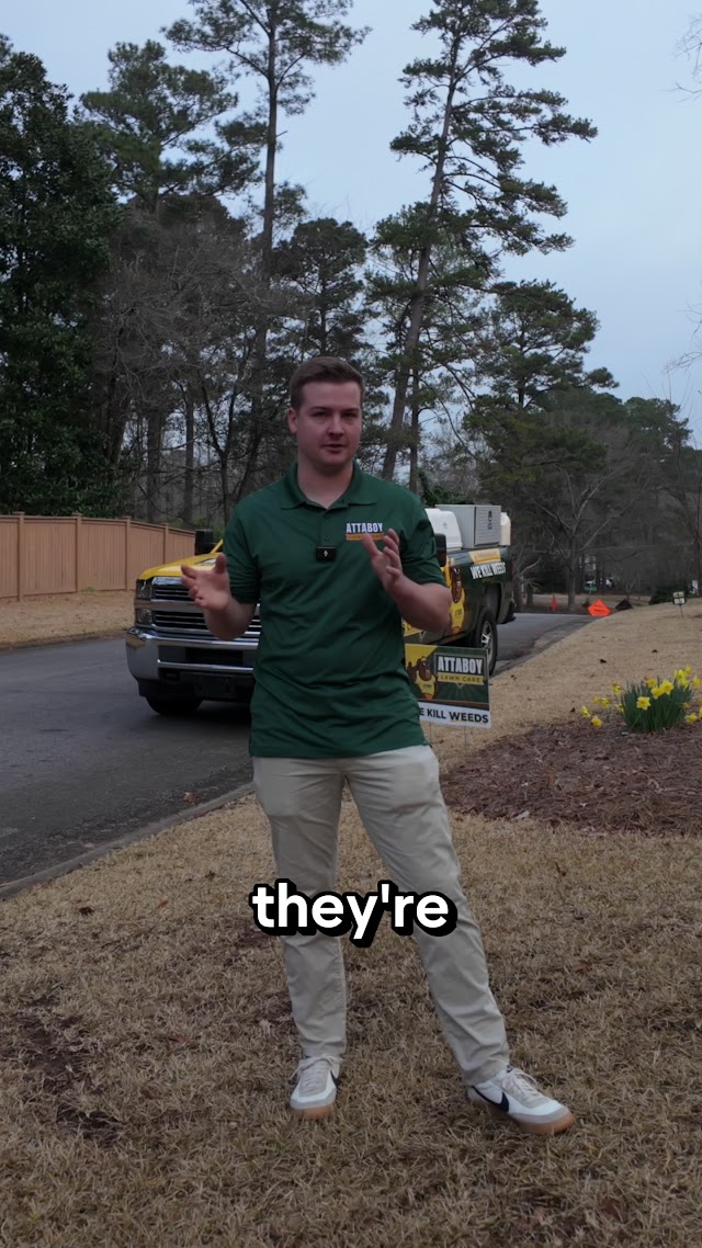 Attaboy Lawn Care photo 3