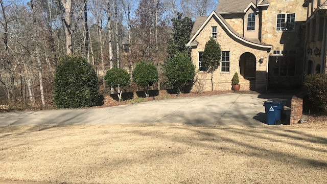 Auburn Lawn Solutions photo 2