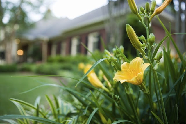 Auburn Mowing, LLC photo 4
