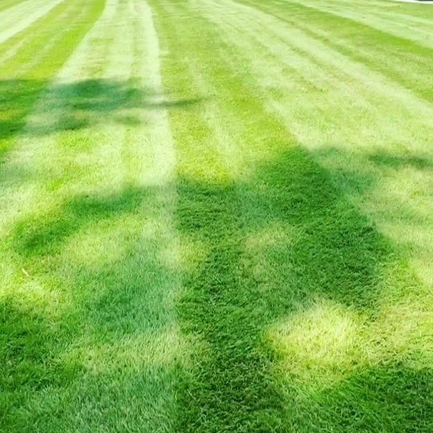 Augusta Landscaping photo 2