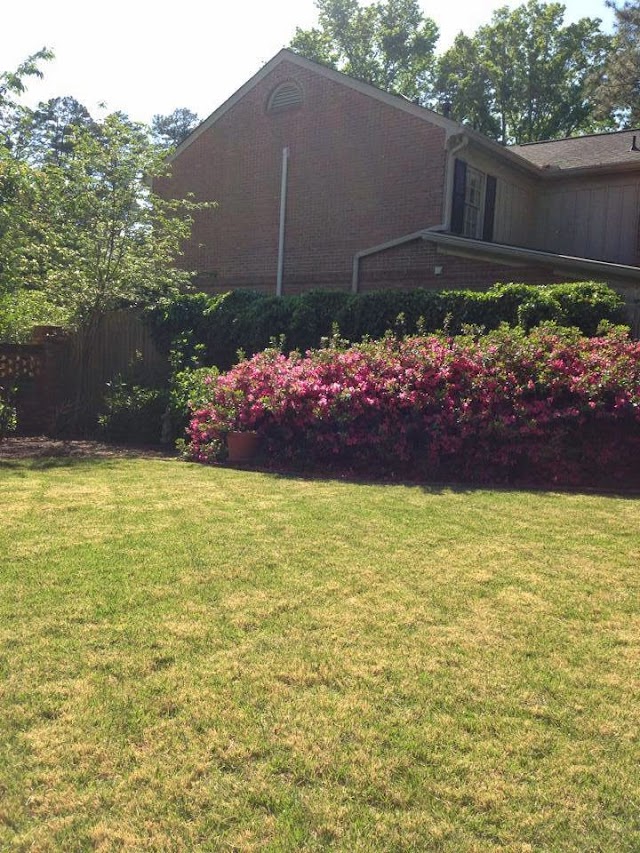 Augusta Lawn Care Services of Augusta photo 4