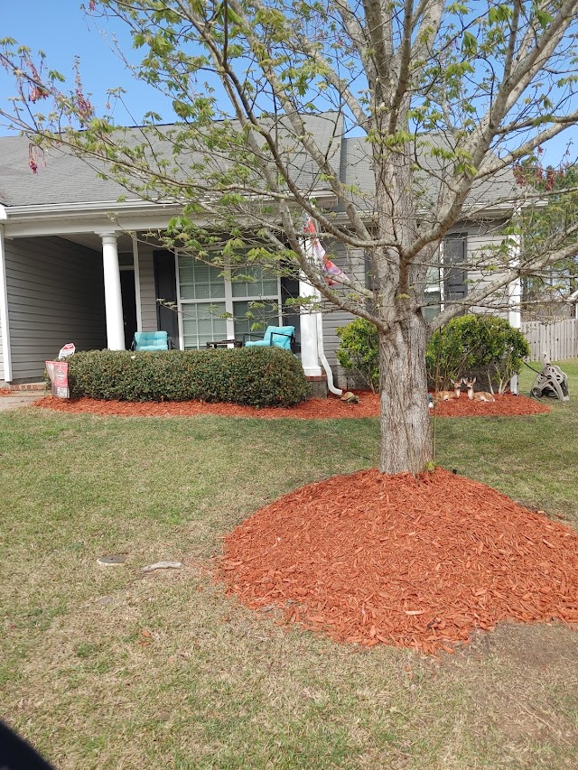 Augusta Lawn & Turf.