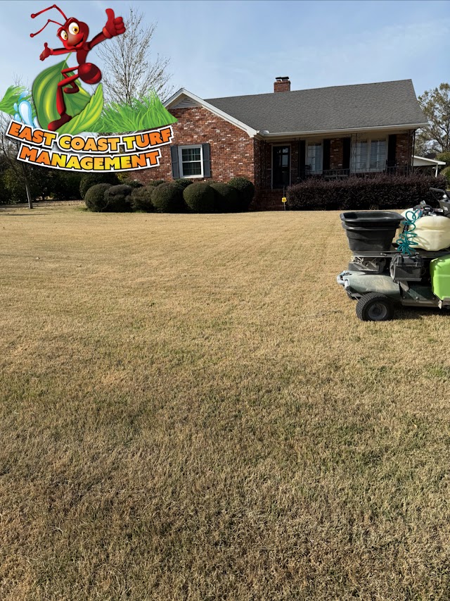Augusta Lawn & Turf. photo 4