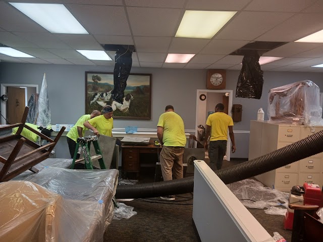 Augusta Mold Control and Removal photo 2