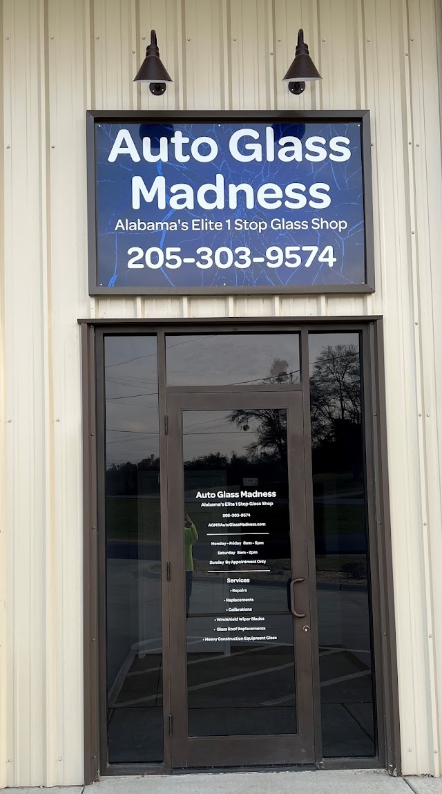 Auto Glass Madness photo 3