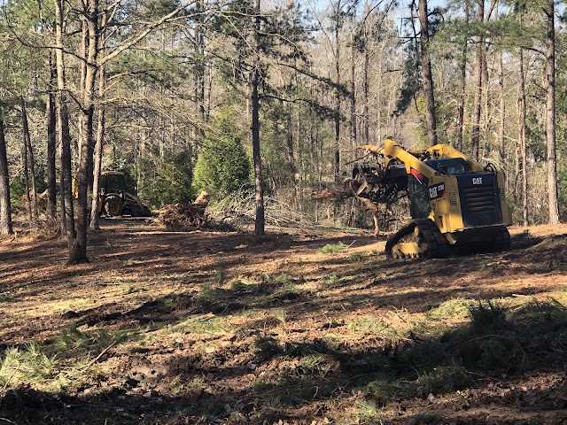 Avery Tree Care photo 2