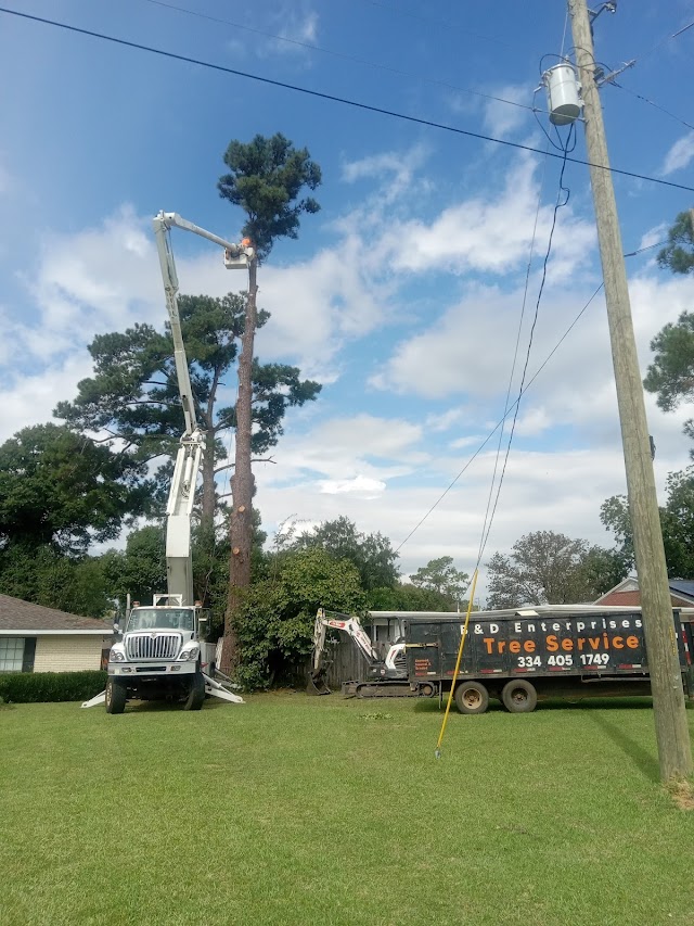 B&D Tree Service