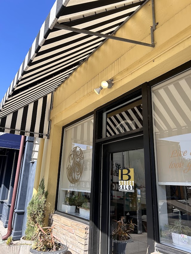 B Street Salon photo 2