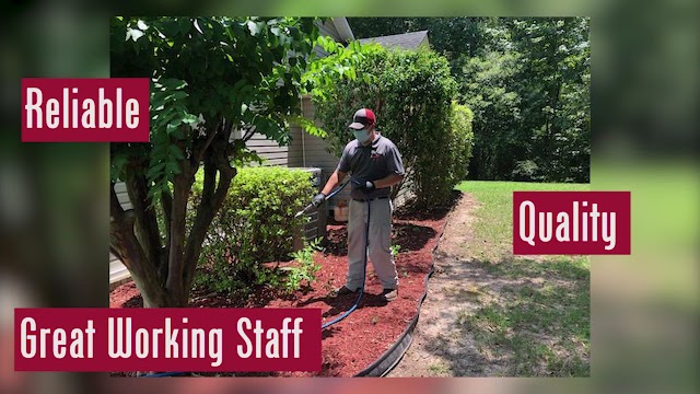 Bama Exterminating photo 4