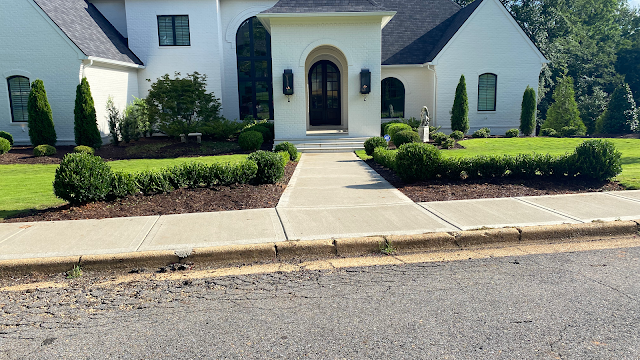 Bama Landscaping photo 2