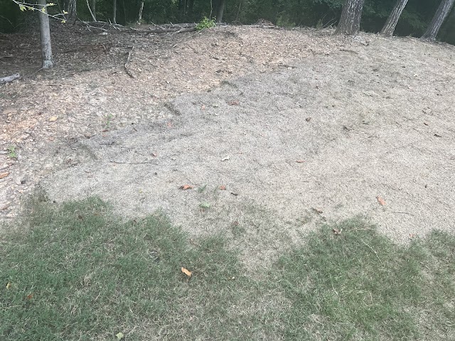 Bama Landscaping photo 3