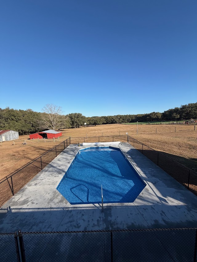 Bama Pool