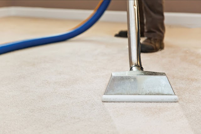 Bama's Best Carpet Cleaning