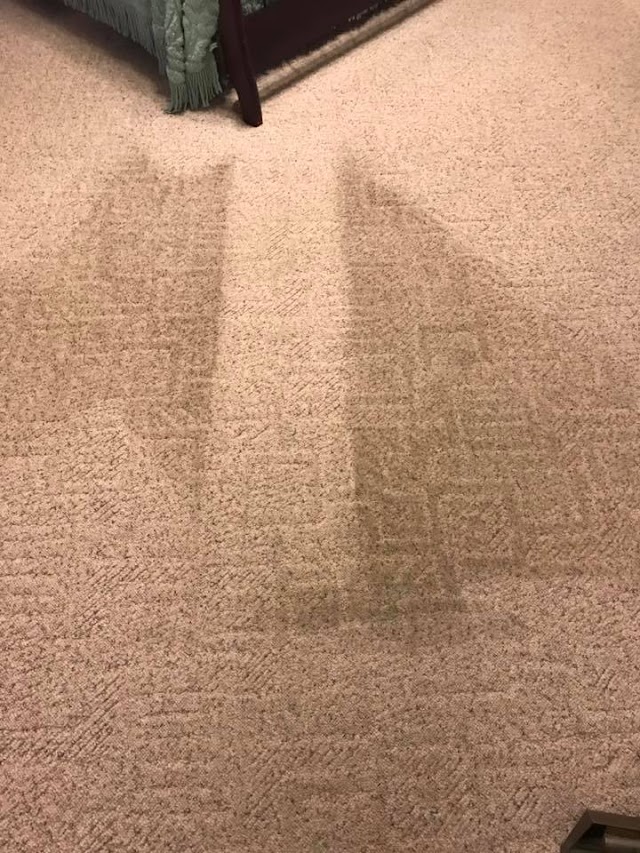 Bama's Best Carpet Cleaning photo 2