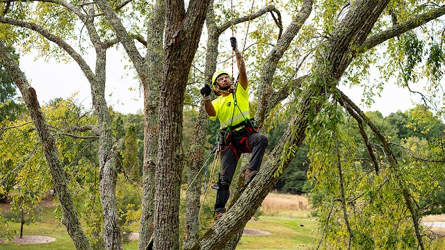 Bartlett Tree Experts photo 2