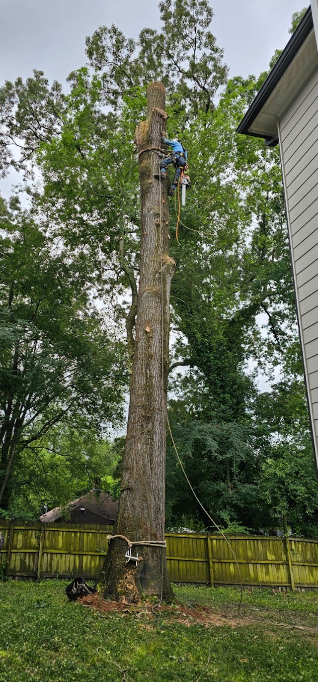 Bartlett Tree Experts photo 4