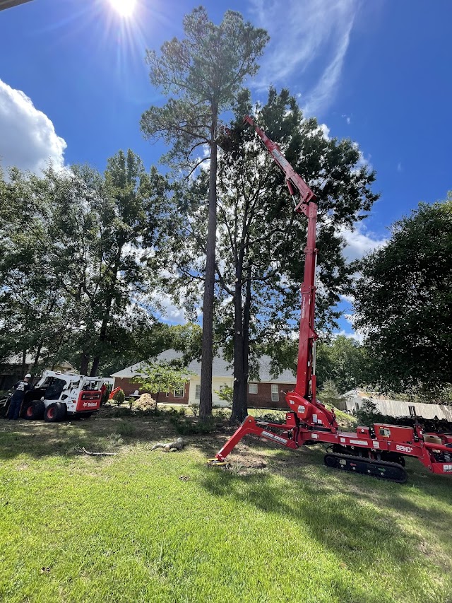Bartlett Tree Experts photo 4