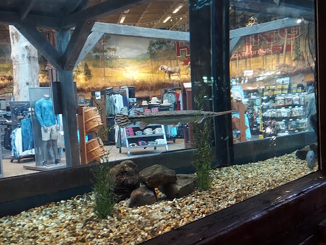 Bass Pro Shops photo 4