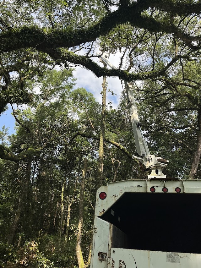 Battiste Tree Services photo 2