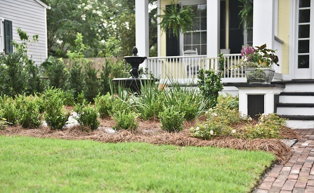 Bay Landscaping, Inc. photo 3