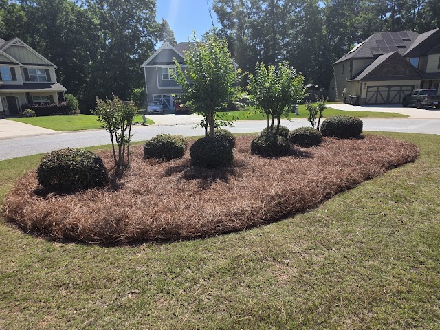 BD Lawn Service llc