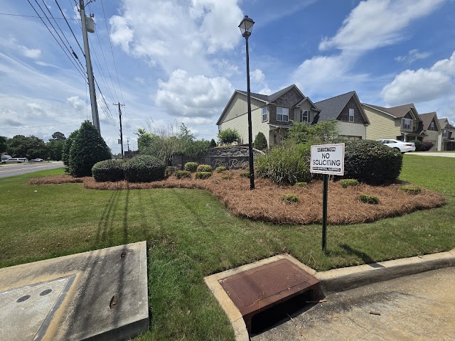 BD Lawn Service llc photo 2
