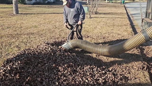 BD Lawn Service llc photo 3