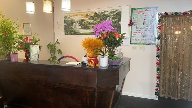 beem Light Sauna - Bonaire (Warner Robins) photo 3