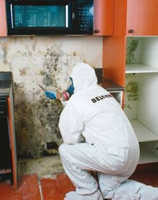 BELFOR Property Restoration (Mobile)