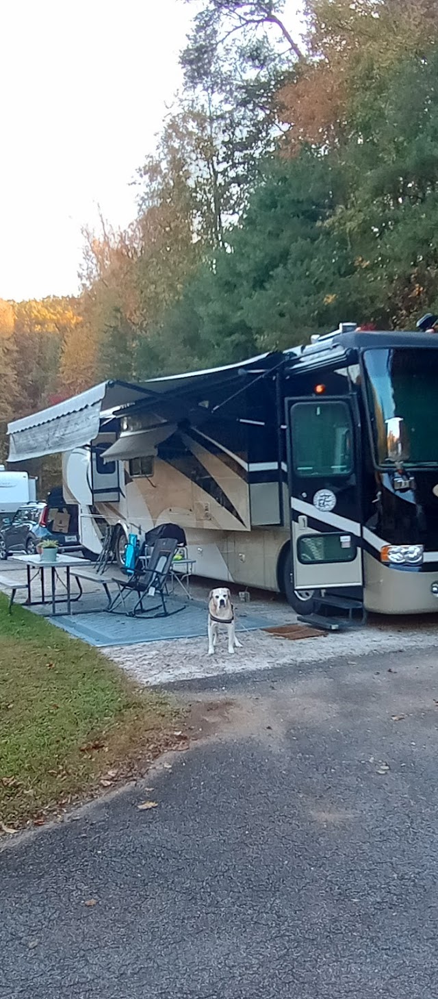 Bella RV mobile tech