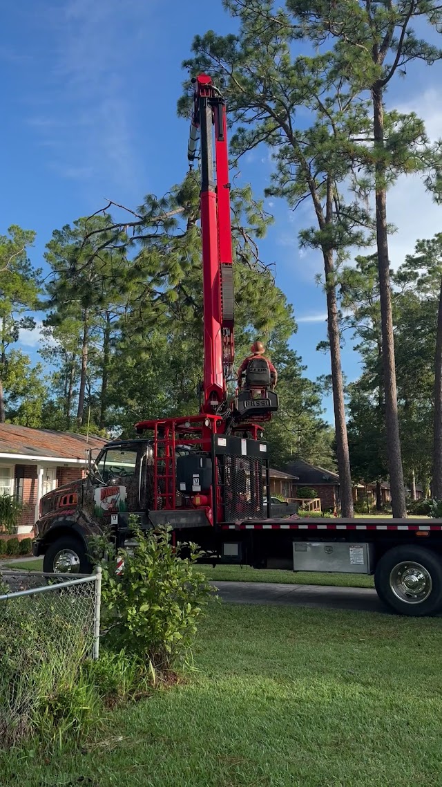 Bennett's Tree Service Inc. photo 3