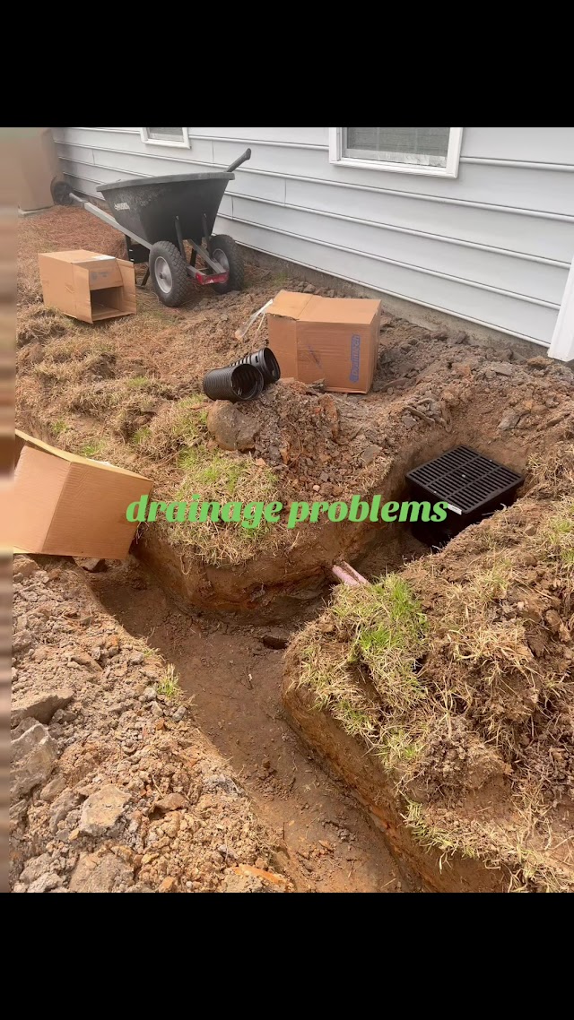 Best Landscape & Maintenance LLC photo 3