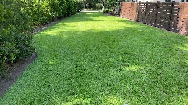 Best Landscape & Maintenance LLC photo 4