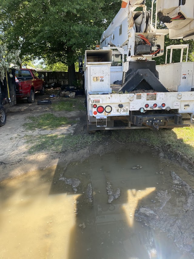 Big Daddy S Tree Service photo 2