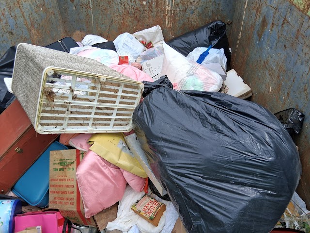 Bin There Dump That- Tuscaloosa photo 2