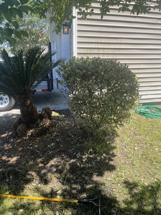 Blades of Grass Lawn Care, LLC photo 2